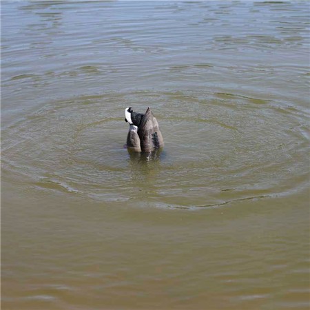 RICHIAMO MOJO MACHINE - COLVERTS