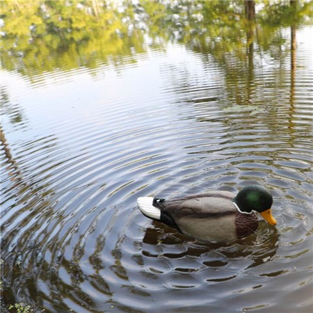 RICHIAMO MOJO RIPPLER 2 - COLVERT