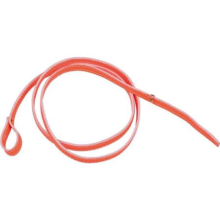 Riem - Oranje Prohunt