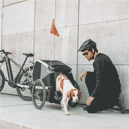 RIMORCHIO BICI THULE PER CANE BEXEY