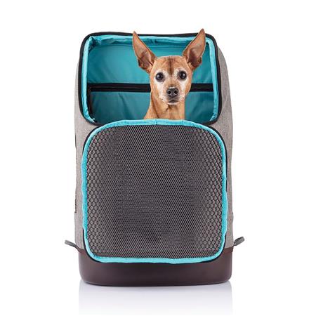 ΣΑΚΊΔΙΟ ΠΛΆΤΗΣ KURGO K9 RUCKSACK - ΓΚΡΙ