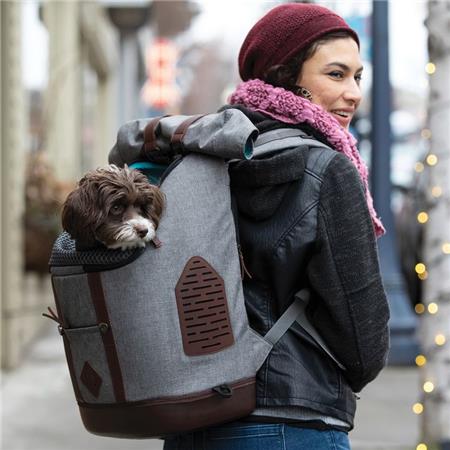 ΣΑΚΊΔΙΟ ΠΛΆΤΗΣ KURGO K9 RUCKSACK - ΓΚΡΙ