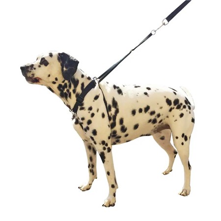 ΣΑΜΑΡΆΚΙ DIFAC SYMPA DOG