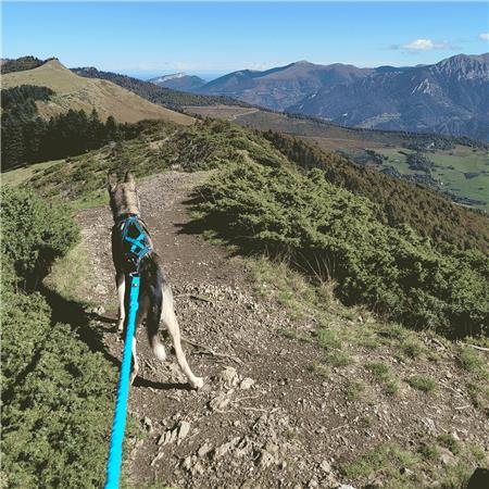 ΣΑΜΑΡΆΚΙ I-DOG CANICROSS X-BACK GAMME ONE - ΜΠΛΕ