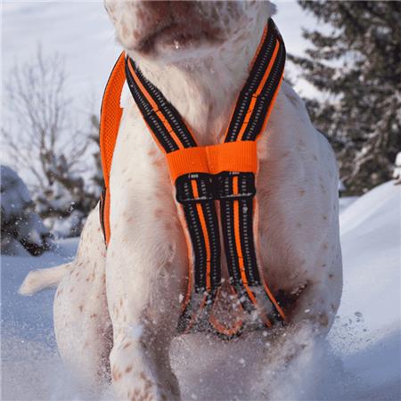 ΣΑΜΑΡΆΚΙ I-DOG CANICROSS X-BACK GAMME ONE - ΠΟΡΤΟΚΑΛΊ