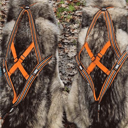 ΣΑΜΑΡΆΚΙ I-DOG CANICROSS X-BACK GAMME ONE - ΠΟΡΤΟΚΑΛΊ