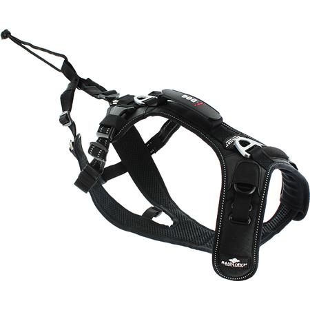 ΣΑΜΑΡΆΚΙ I-DOG RAIDLIGHT CANI-TRAIL