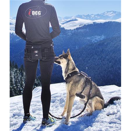 ΣΑΜΑΡΆΚΙ I-DOG RAIDLIGHT CANI-TRAIL