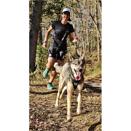 ΣΑΜΑΡΆΚΙ I-DOG RAIDLIGHT CANI-TRAIL