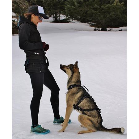 ΣΑΜΑΡΆΚΙ I-DOG RAIDLIGHT CANI-TRAIL