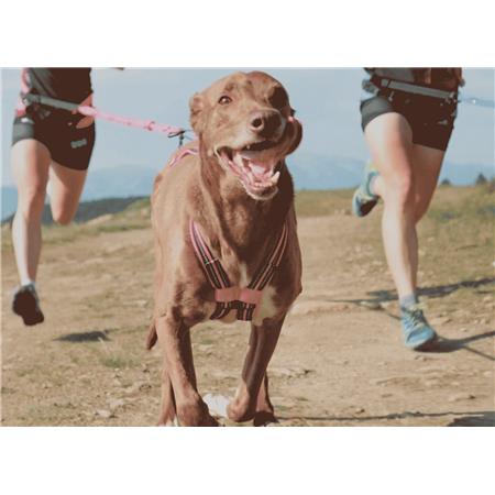 ΣΑΜΆΡΙ I-DOG CANICROSS X-BACK GAMME ONE - ΡΟΖ