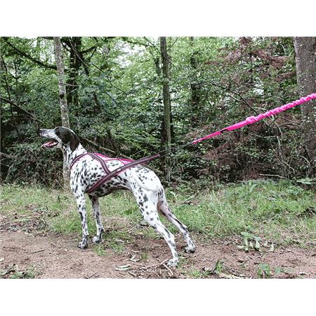ΣΑΜΆΡΙ I-DOG CANICROSS X-BACK GAMME ONE - ΡΟΖ