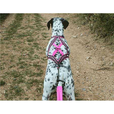ΣΑΜΆΡΙ I-DOG CANICROSS X-BACK GAMME ONE - ΡΟΖ