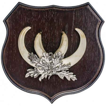 Scudetto In Quercia Fritzmann Per Zanne Di Cinghiale