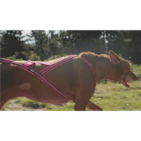 SELE I-DOG CANICROSS X-BACK GAMME ONE - LYSERØD