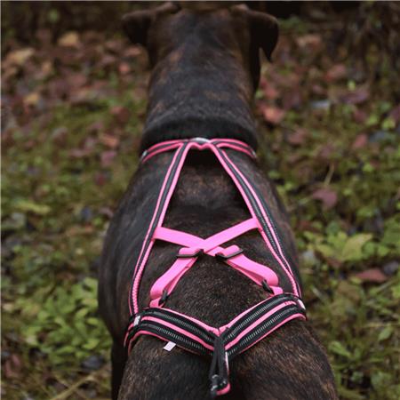 SELE I-DOG CANICROSS X-BACK GAMME ONE - LYSERØD