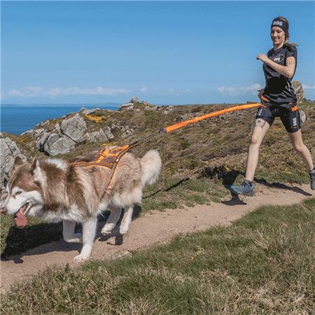 SELE I-DOG CANICROSS X-BACK GAMME ONE - ORANGE