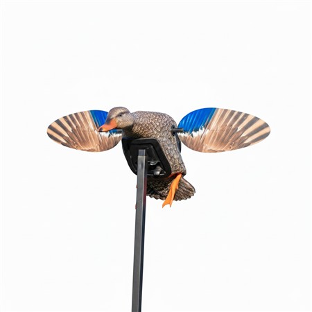 Señuelo Mojo Elite Series Mini - Hembra De Ánade Real