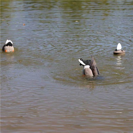 SEÑUELO MOJO MACHINE - COLVERTS