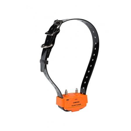 SET SET COMPLETO NUMAXES CANICOM 1000 2 CHIENS