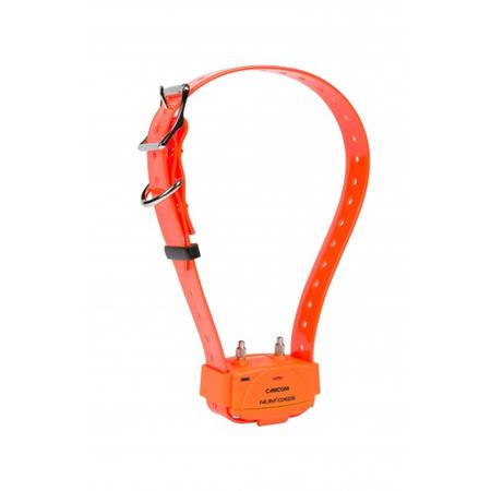SET SET COMPLETO NUMAXES CANICOM 1000 2 CHIENS