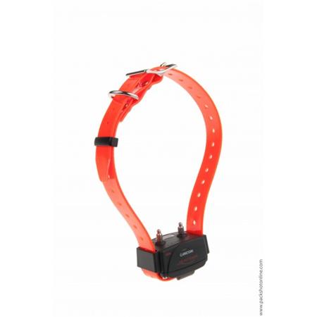 SET SET COMPLETO NUMAXES CANICOM 1500 3 CHIENS