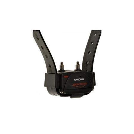 SET SET COMPLETO NUMAXES CANICOM 1500 3 CHIENS