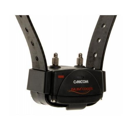 SET SET COMPLETO NUMAXES CANICOM 800 2 CHIENS