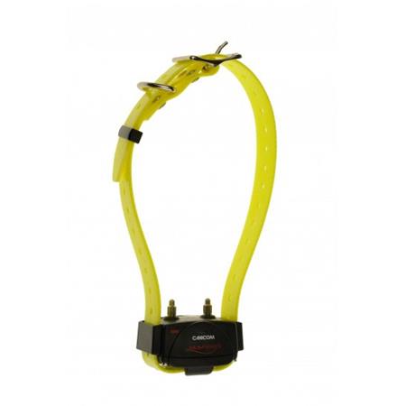 SET SET COMPLETO NUMAXES CANICOM 800 2 CHIENS
