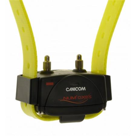 SET SET COMPLETO NUMAXES CANICOM 800 2 CHIENS