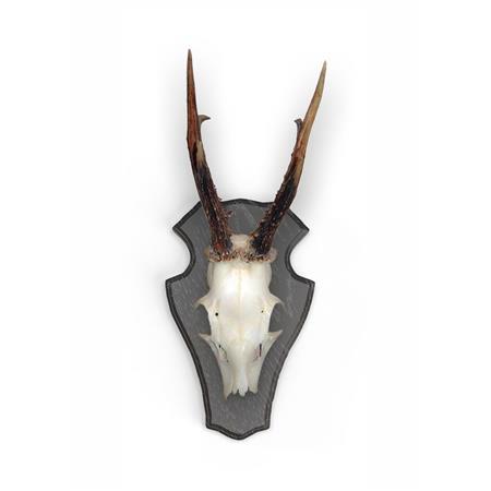 SET REH-ABZEICHEN EUROHUNT EICHE 1 MIT METALLCLIPS - 5ER PACK