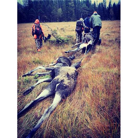 SLEEPRIEM VOOR WILD NEVERLOST