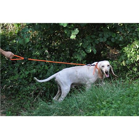 SMYCZ CANIHUNT X-TREME FIRST