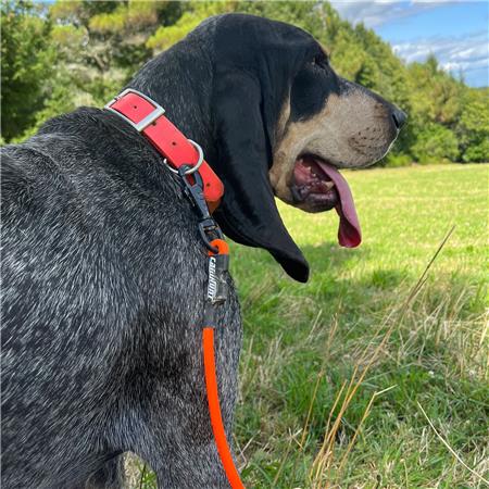 SMYCZ CANIHUNT X-TREME FIRST