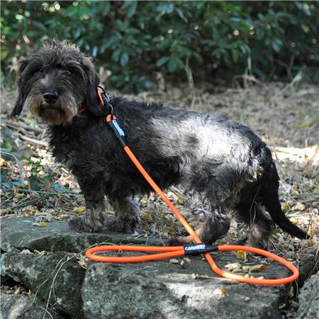 SMYCZ CANIHUNT X-TREME FIRST