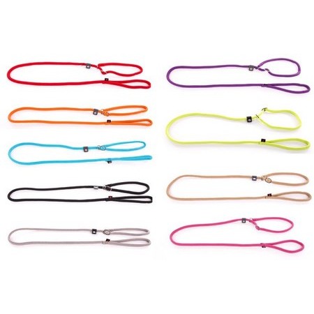 Smycz Dla Psa Martin Sellier Z Obrożą Półzaciskową