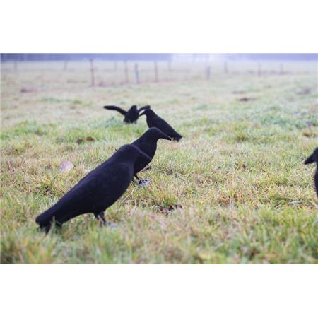 STAMPI EUROHUNT CORBEAU LEURRE FLOQUÉ SUR TOUT LE CORPS