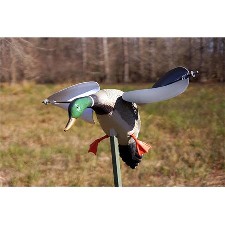 Stampi Mojo Canard À Vent
