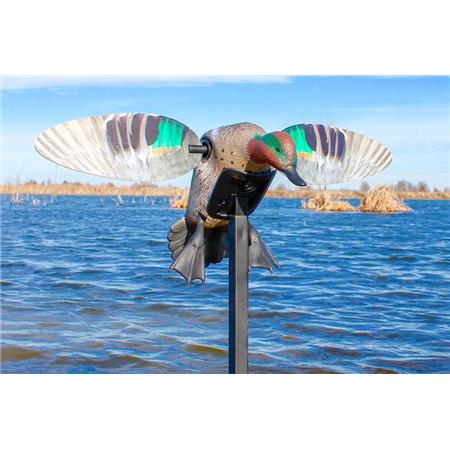 Stampi Mojo Elite Series Green Wing Sarcelle