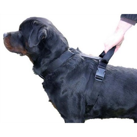 Szelki Dla Psa Martin Sellier Intervention