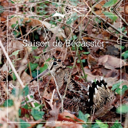 Taccuino Stagione Del Beccacciaio Le Pairon Bécassier Troisème Édition