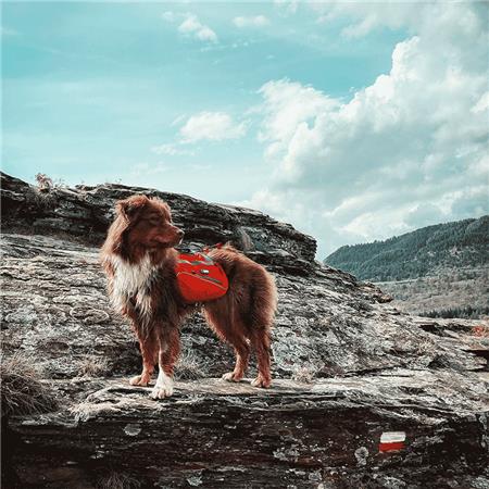 TASCHEN FÜR GESCHIRRE I-DOG CONFORT TREK