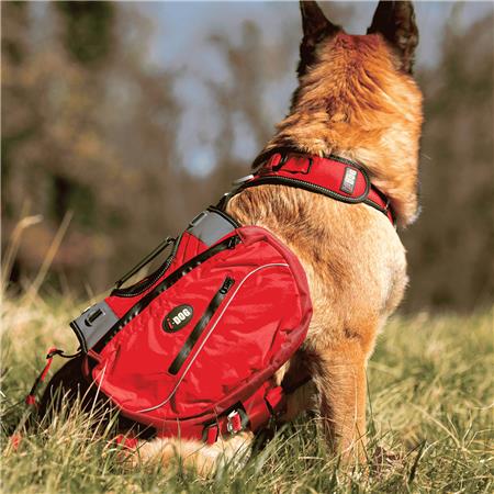 TASCHEN FÜR GESCHIRRE I-DOG CONFORT TREK