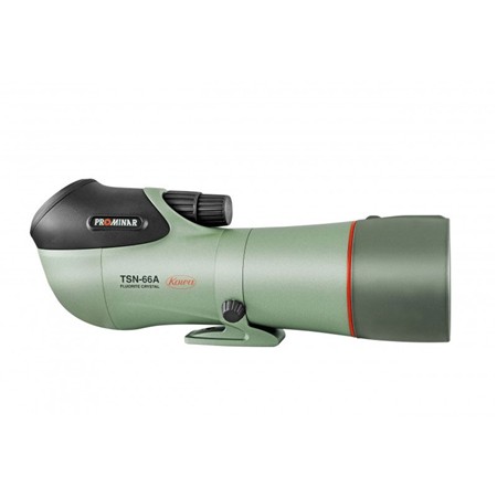 Telescopio Terrestre Kowa Tsn 66 Prominar Fluorite Visée 45° Oculaire Non Inclus