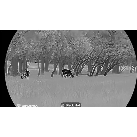 TERMISK MONOKULAR HIKMICRO LYNX LH25 3.0