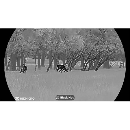 TERMISK MONOKULAR HIKMICRO LYNX LH35 3.0