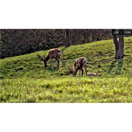 TERMISKE KIKKERTER THERMTEC VENTUS 650 LRF