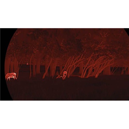 THERMAL MONOCULAR HIKMICRO LYNX LH25 3.0