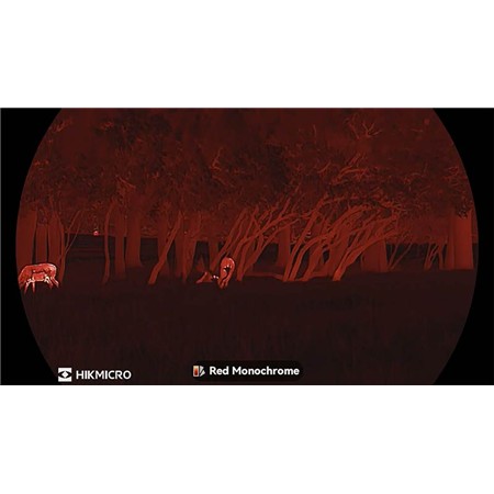 THERMISCHES MONOKULAR HIKMICRO LYNX LH35 3.0