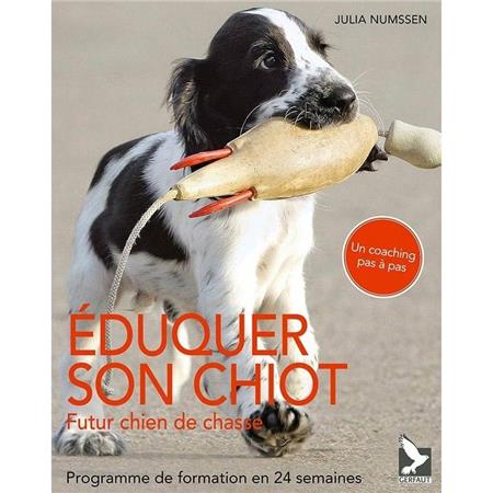 To Educate Its Pup, Future Gun Dog, Training Program Of 24 Weeks